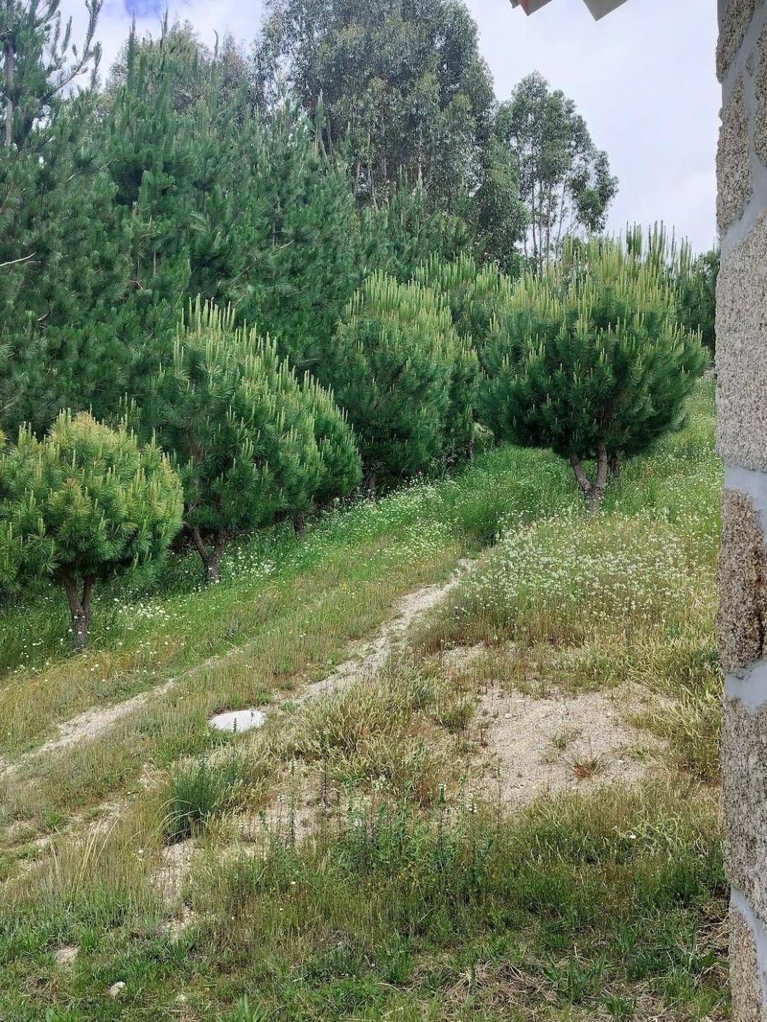 Arpuro Villa Gouveia  Buitenkant foto